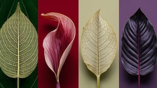 Descubre si eres una persona dominante con solo elegir una hoja en esta imagen