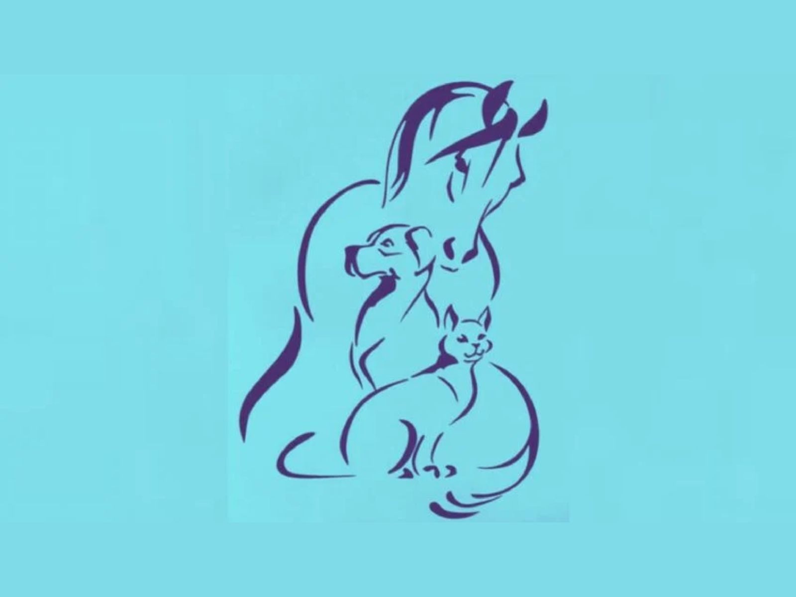 Test visual: El animal que mires primero, te revelará si tus amistades valen la pena. (Crédito: MDZO)