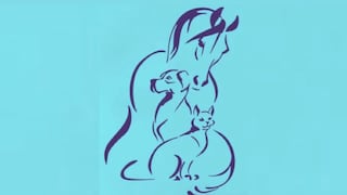 ¿Qué animal viste primero? Tu respuesta te dirá si tus amistades son verdaderas