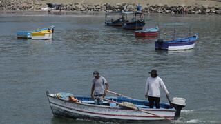 Bono Pescador 2024: requisitos, quiénes son beneficiarios y nuevas incorporaciones