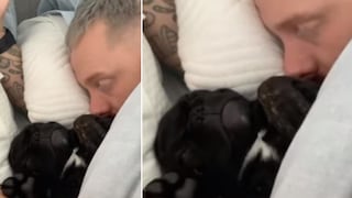 Los ronquidos de un perro mientras duerme con su amo generan ternura en redes sociales