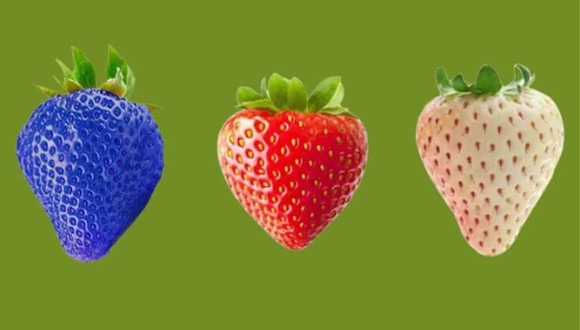 TEST DE PERSONALIDAD | Observa las imágenes de las diferentes fresas disponibles y elige la que más te llame la atención.