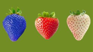 Realiza este test de personalidad para revelar el regalo que el universo tiene preparado para ti