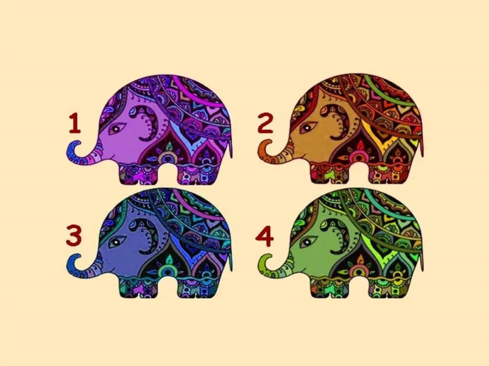 TEST VISUAL | En esta imagen se aprecian muchos elefantes. Tienes que escoger uno. (Foto: namastest.net)