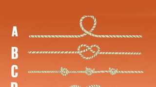 ¿Podrás identificar la cuerda más larga y demostrar tu inteligencia?