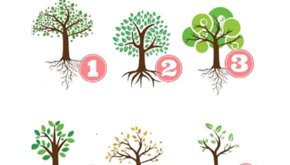 TEST VISUAL | En esta imagen hay muchos árboles. Tienes que escoger uno. (Foto: namastest.net)