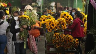 Flores amarillas: el verdadero significado de obsequiar esto el 21 de septiembre