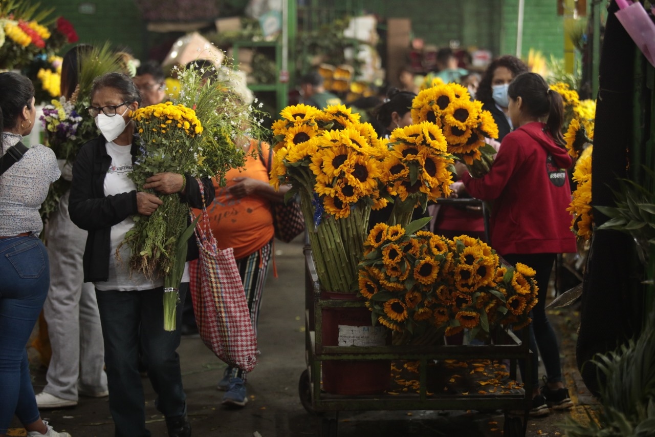 Las flores amarillas se han convertido en las preferidas por muchas personas para regalar el 21 de septiembre (Foto: GEC)