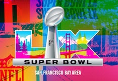 What streaming service is best for watching the Super Bowl LX Halftime show?