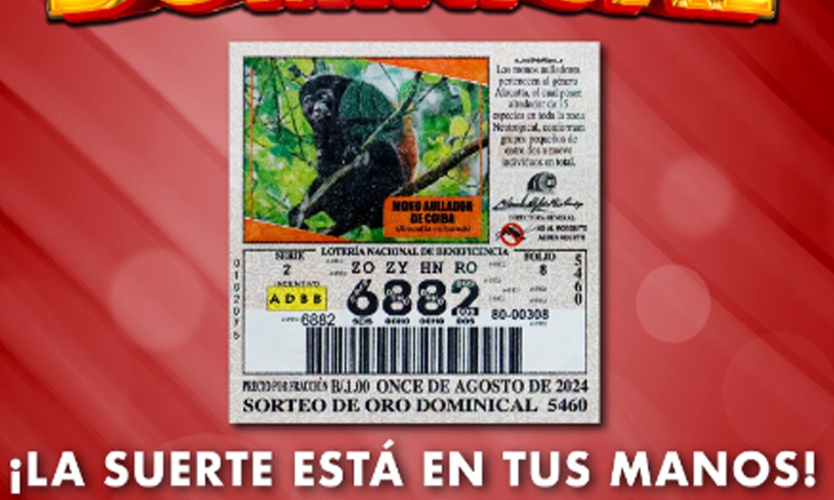Números ganadores del Sorteo Dominical del 11 de agosto. (Foto: X/Oficial)