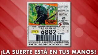 Resultados Lotería Nacional de Panamá, domingo 11 de agosto: números ganadores