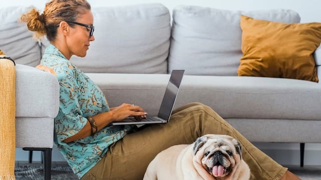 Cómo hacer un espacio informático “pet friendly” para no sufrir por el teletrabajo