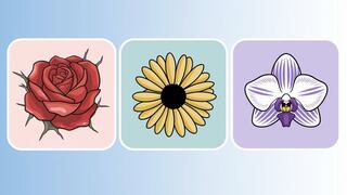 Escoge una de las tres flores en la imagen para saber si eres una persona sumisa