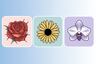 Escoge una de las flores en la imagen para descubrir si eres una persona sumisa
