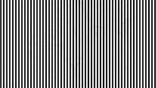 Hay un animal oculto entre las líneas negras de la imagen que debes encontrar