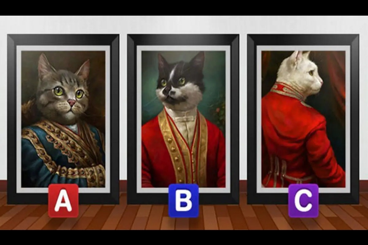 TEST DE PERSONALIDAD | En esta imagen se puede ver a tres gatos con trajes singulares. ¿Cuál es el que más te gusta? (Foto: namastest.net)