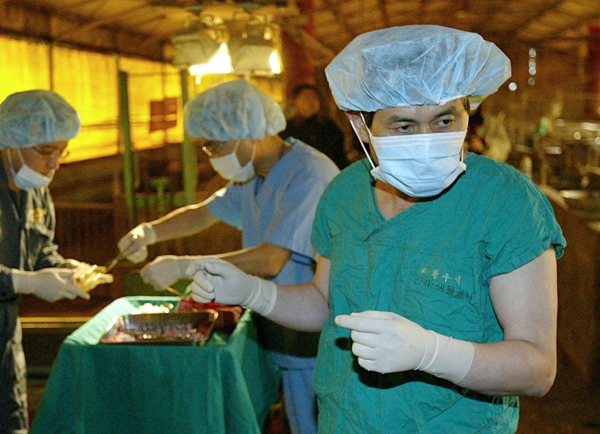 Hwang Woo-suk era un orgullo para su país (Foto: AFP)