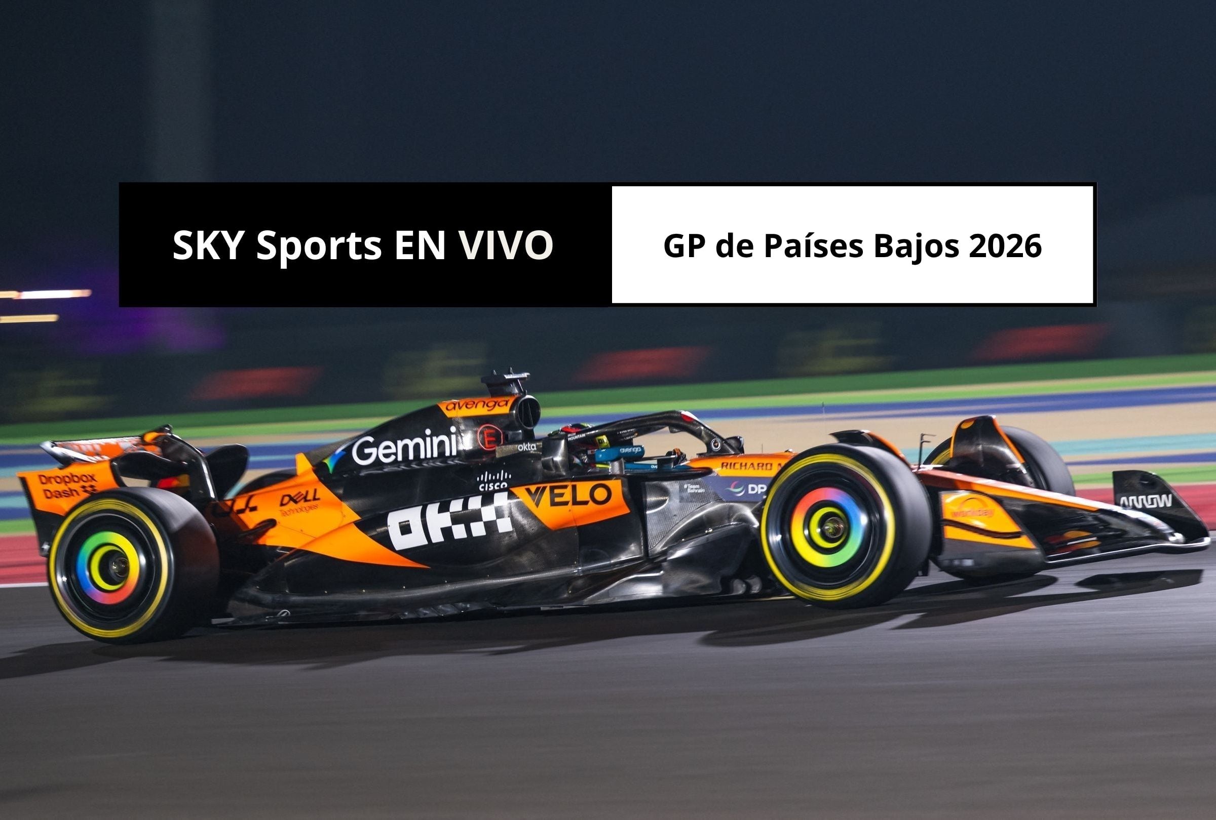 Revisa esta nota para que sepas cómo ver EN VIVO la carrera del GP de Países Bajos 2026 por SKY Sports y SKY Plus. (Foto: Andrej ISAKOVIC / AFP y Composición Canva - Depor)