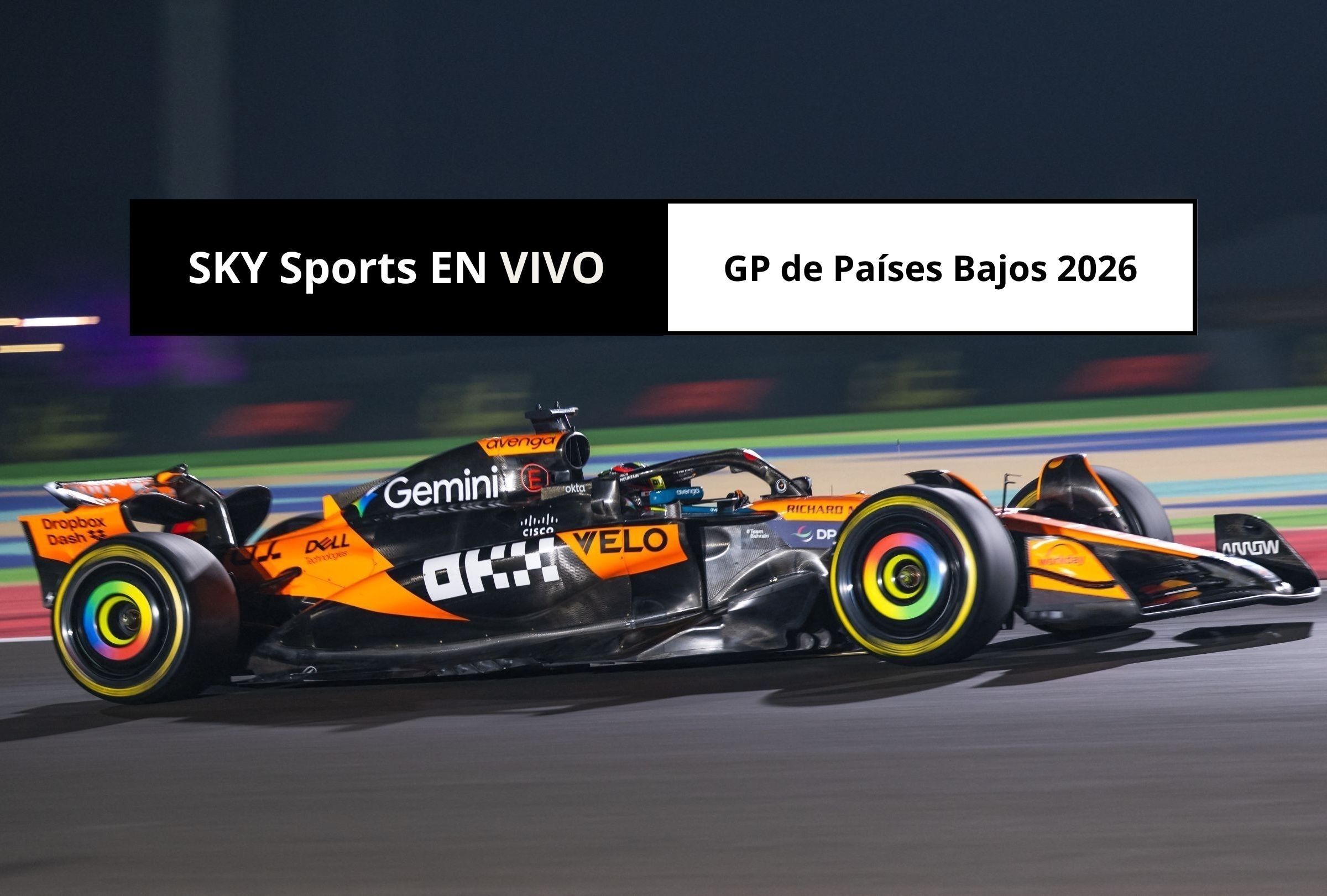 Revisa esta nota para que sepas cómo ver EN VIVO la carrera del GP de Países Bajos 2026 por SKY Sports y SKY Plus. (Foto: Andrej ISAKOVIC / AFP y Composición Canva - Depor)