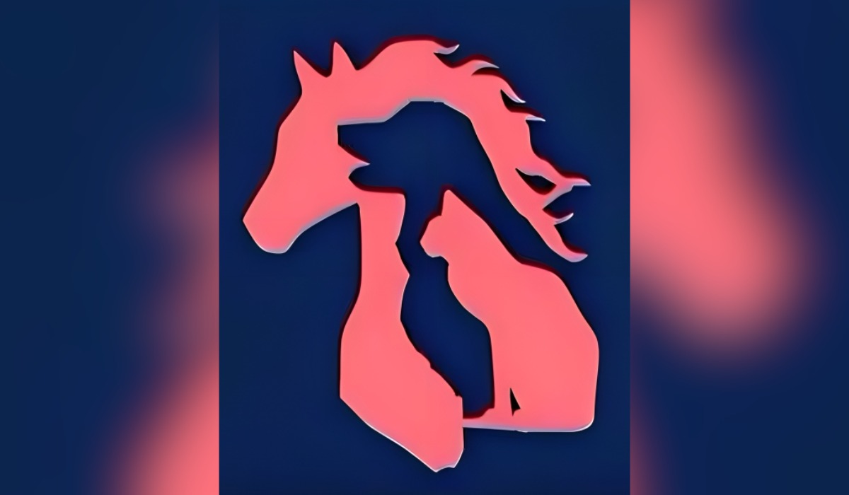 Descubre tus más grandes virtudes según qué animal viste en este test de personalidad (Foto: GenialGuru).