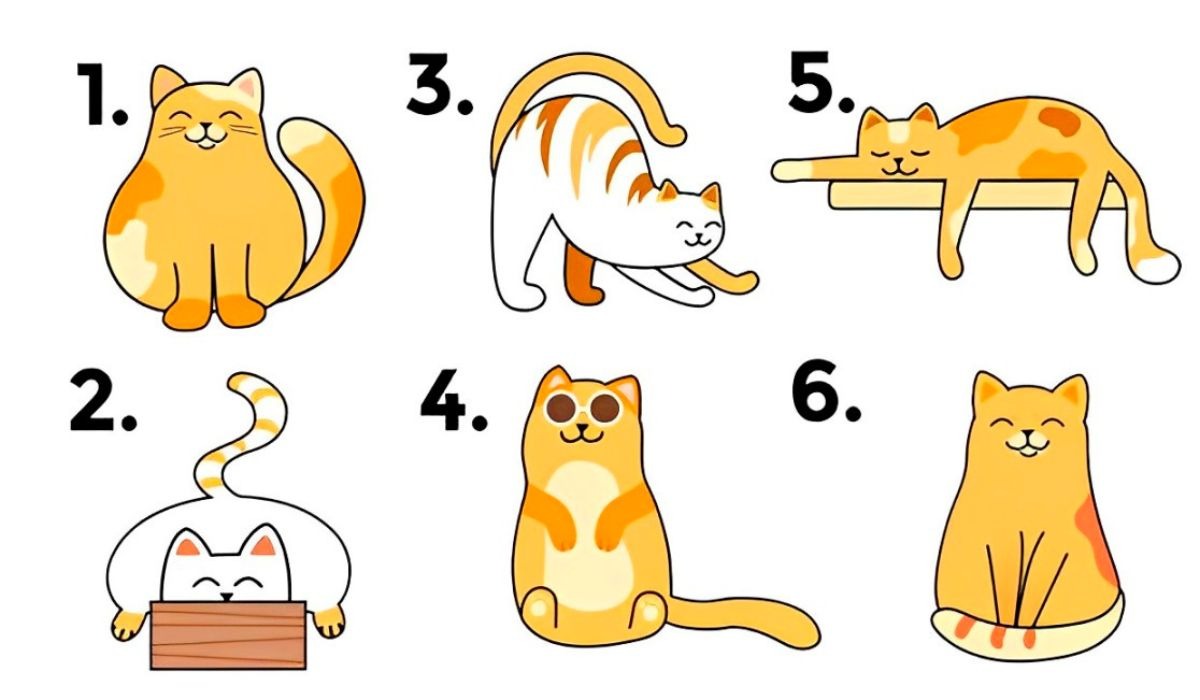 Test de personalidad: escoge uno de los gatos en esta imagen para descubrir si eres un líder natural (Foto: GenialGuru).