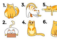 Elegir uno de los gatos en esta imagen te hará descubrir si eres un líder natural