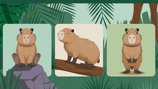 Elige uno de los capibaras en la imagen para conocer qué tipo de personalidad tienes