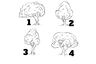 ¿Eres optimista o pesimista? Lo sabrás si seleccionas uno de estos árboles