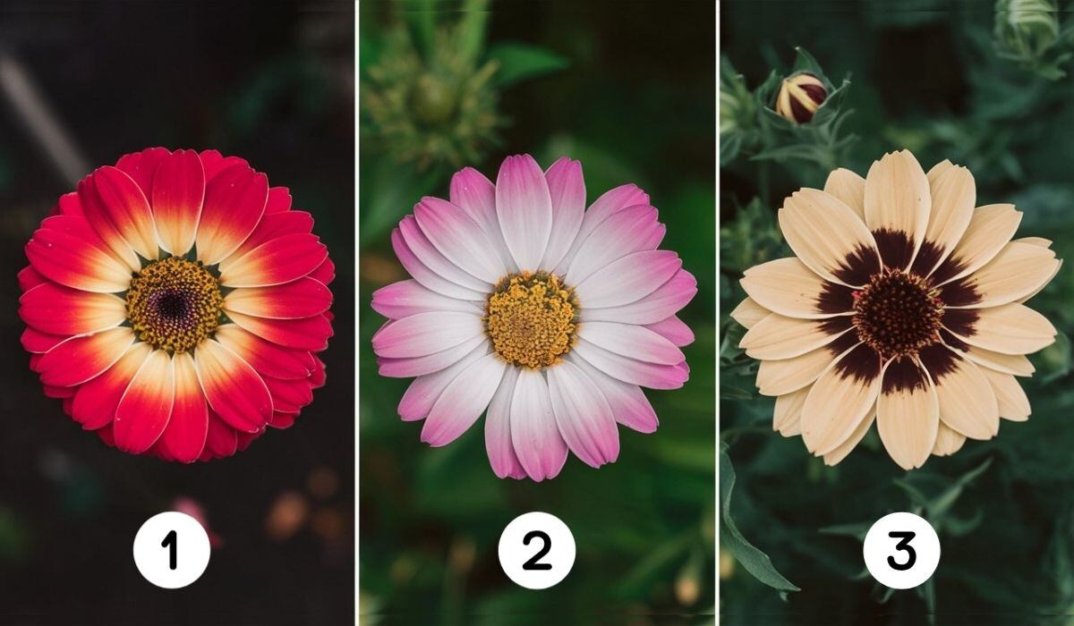 La flor que elijas en este test visual sacará a relucir qué tan romántico eres (Foto: Depor).