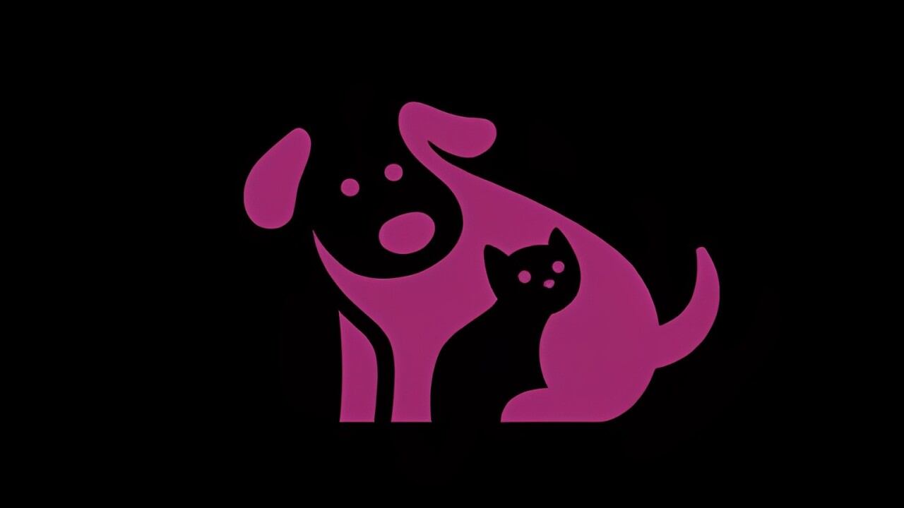 Descubre si eres una persona conflictiva de acuerdo al primer animal que observes (Foto: Mdzol).