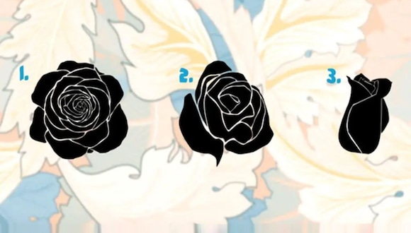 TEST VISUAL | En esta imagen hay tres rosas negras. Tienes que elegir una. (Foto: namastest.net)
