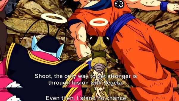 Kaiosoma sobre las fusiones en Dragon Ball
