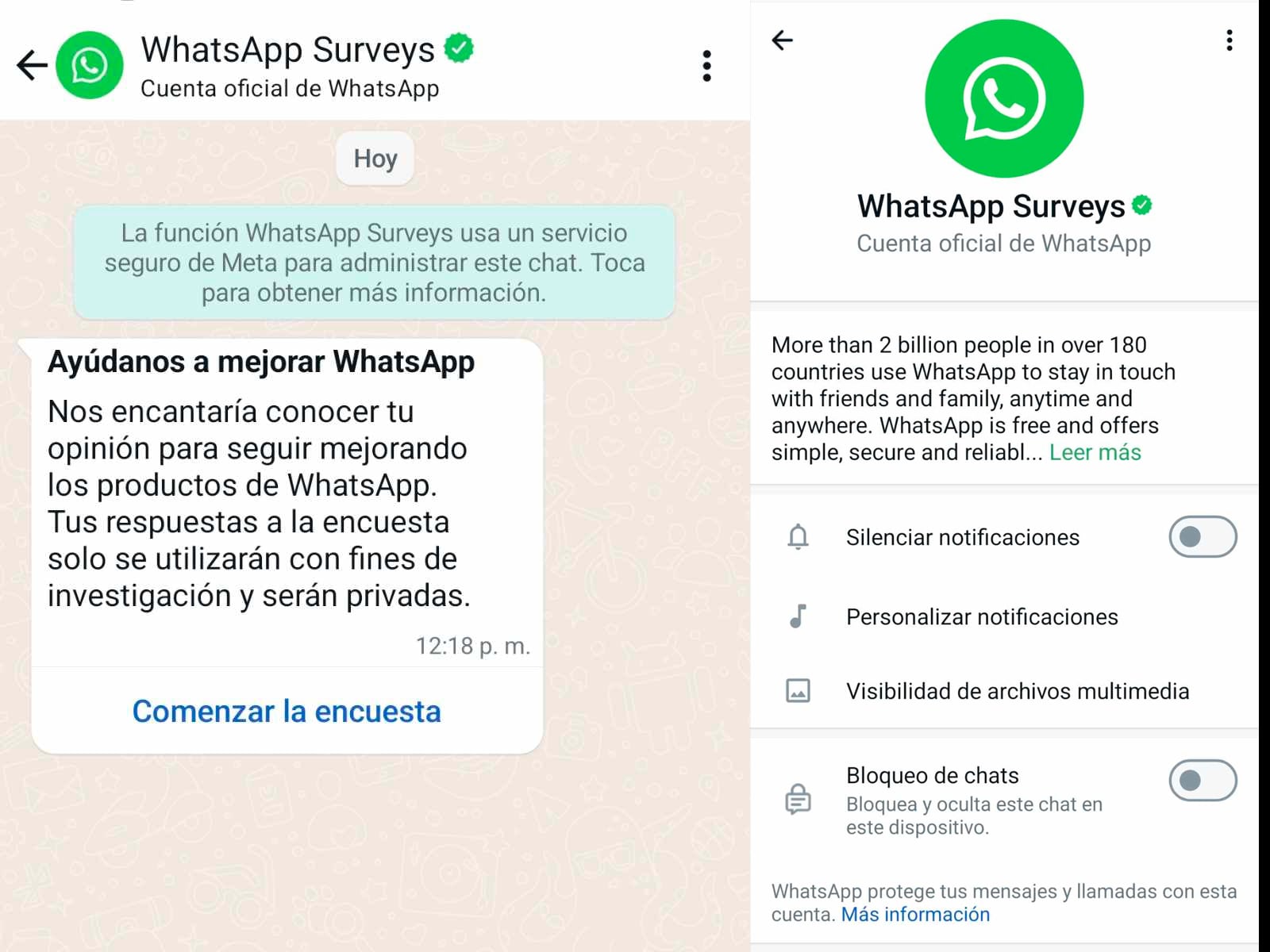 WHATSAPP | Así luce el mensaje que te envía WhatsApp Surveys. Aquí te digo qué hacer. (Foto: MAG - Rommel Yupanqui)