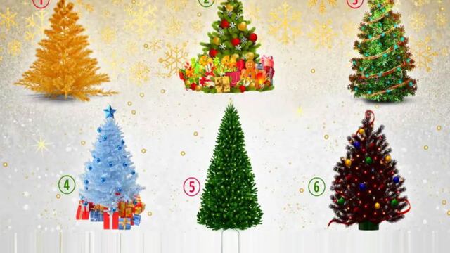 Selecciona un árbol de Navidad y averiguarás qué tipo de persona eres