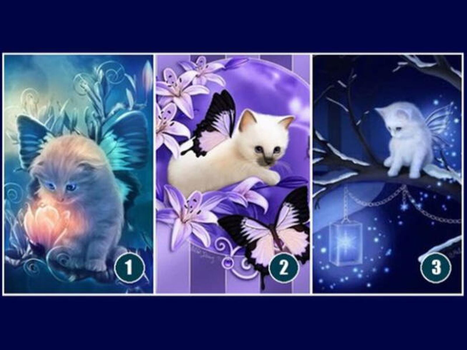 TEST VISUAL | Selecciona uno de los gatos mágicos de este test visual y descubre la guía que tu intuición tiene para ti.