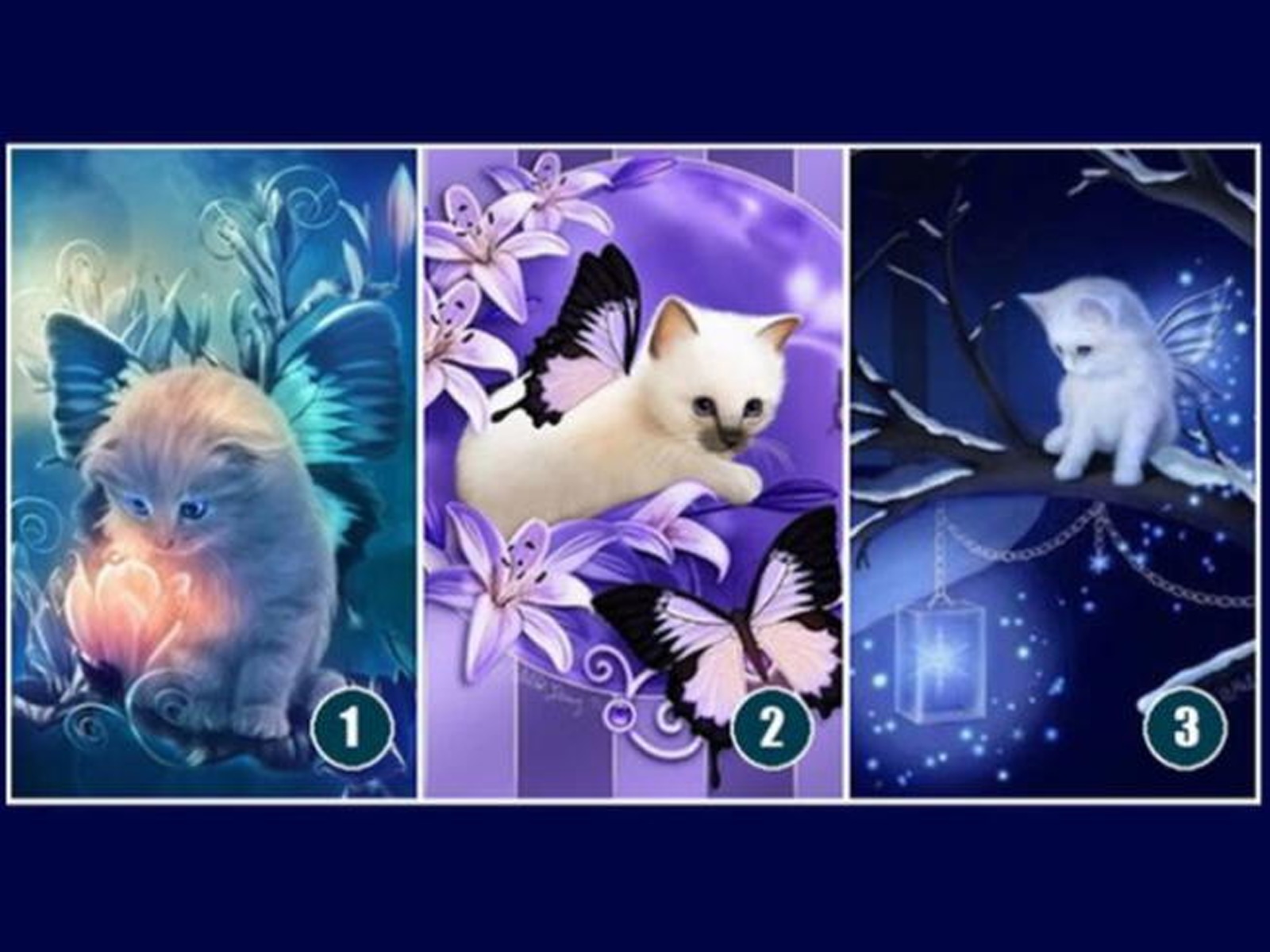 TEST VISUAL | Selecciona uno de los gatos mágicos de este test visual y descubre la guía que tu intuición tiene para ti.