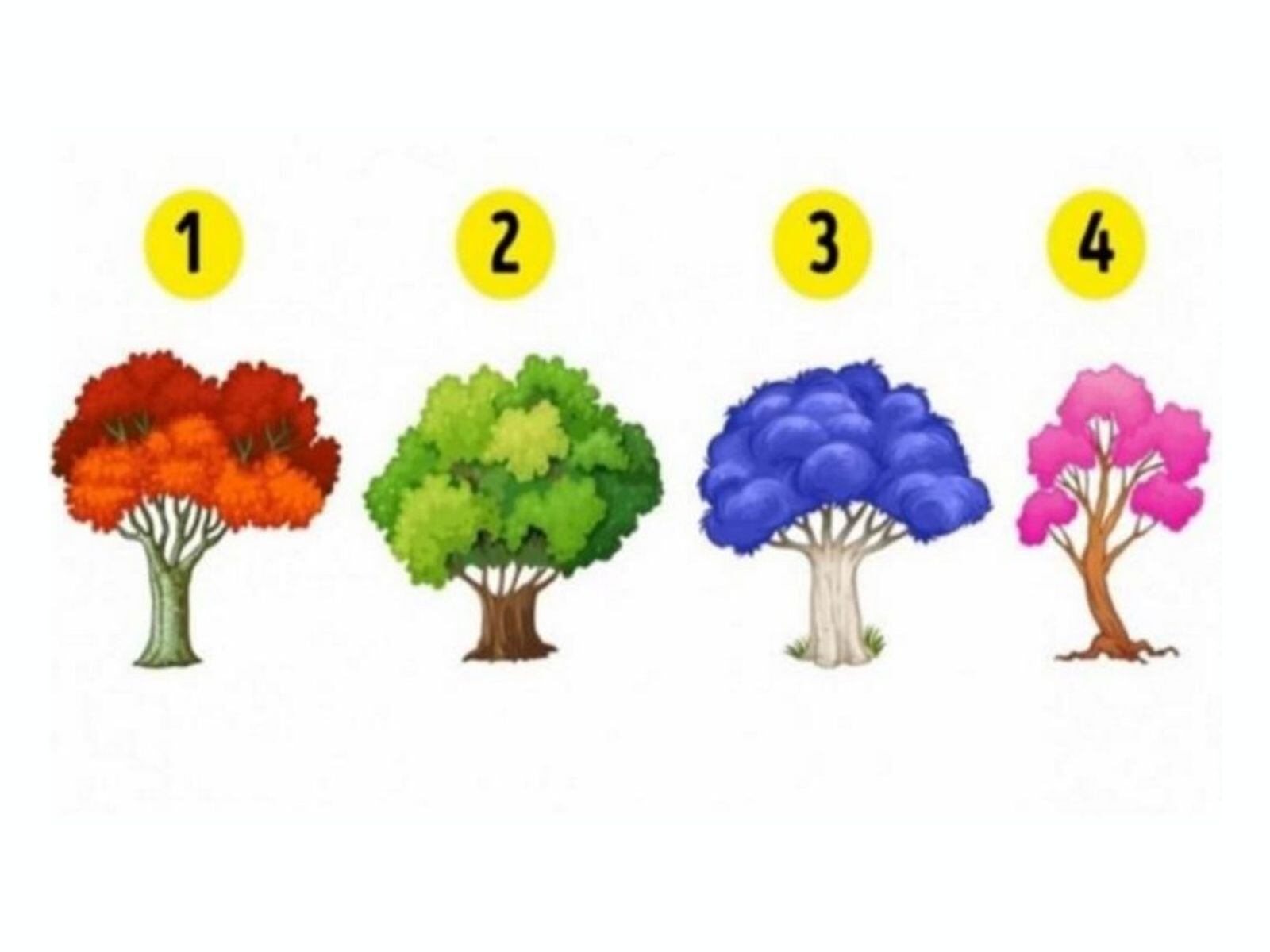 TEST VISUAL | Cada árbol está ocultando una información que será de tu interés. (Foto: Namastest)