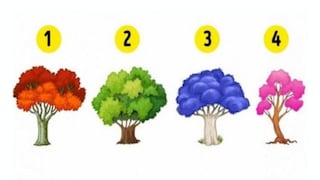 ¿Qué emoción te domina? Descúbrelo eligiendo un árbol