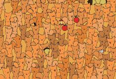 Encuentra el ratón escondido entre los gatos: solo los mejores lo logran en 8 segundos