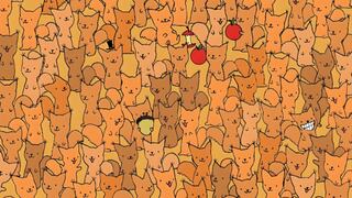 Encuentra el ratón escondido entre los gatos: solo los mejores lo logran en 8 segundos