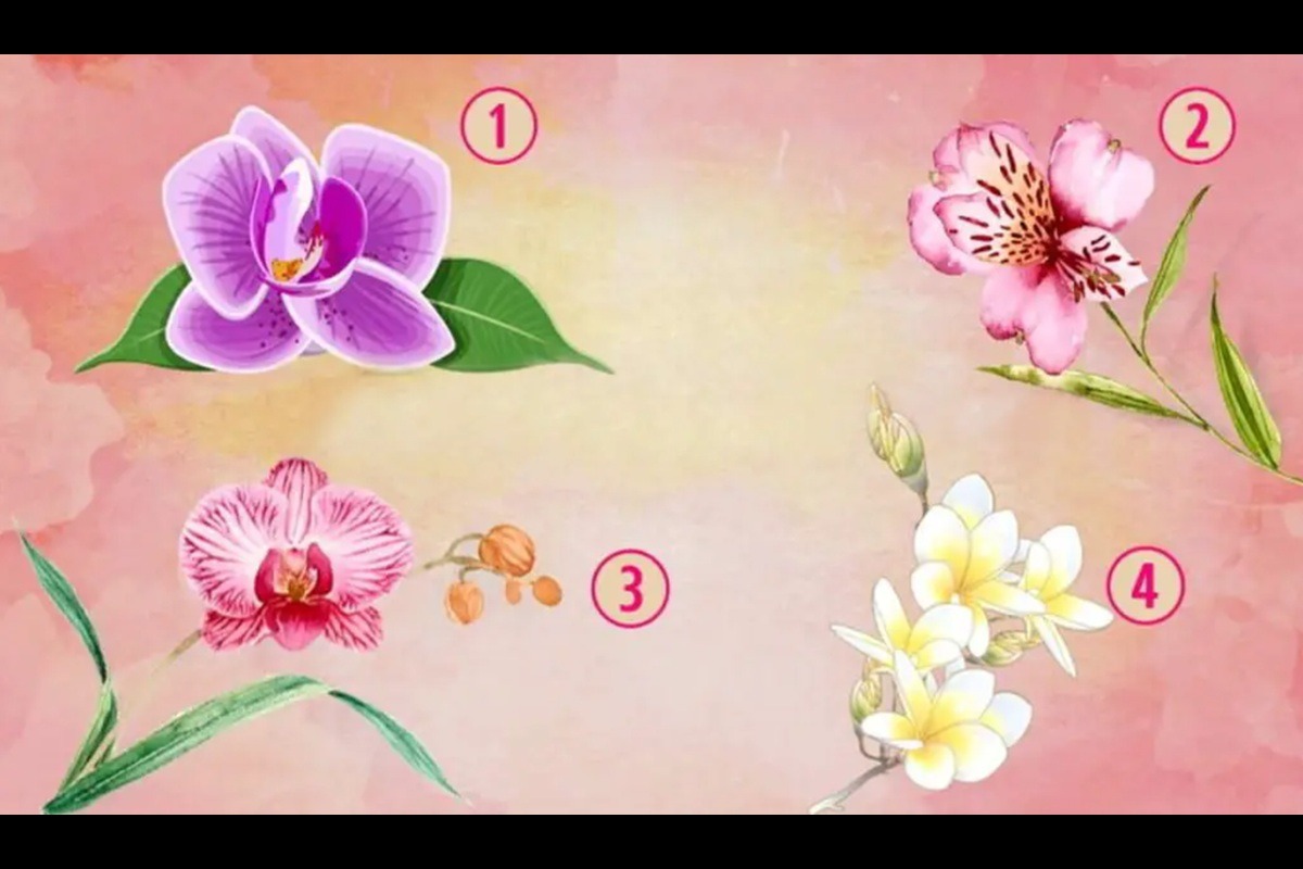 TEST VISUAL | En esta imagen se aprecia cuatro orquídeas. (Foto: namastest.net)