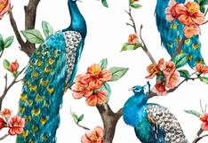 ¿Puedes ver a la cacatúa oculta en la imagen? Pon a prueba tu vista con este reto