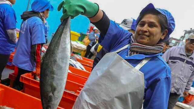 Coronavirus en Perú al domingo 29 de marzo: resumen de noticias, casos confirmados y muertes en el país