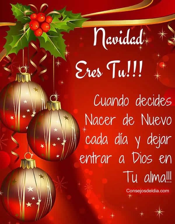 Imágenes para enviar por Navidad (Foto: internet)