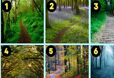 Test de personalidad: descubre tus virtudes y defectos con solo elegir un camino