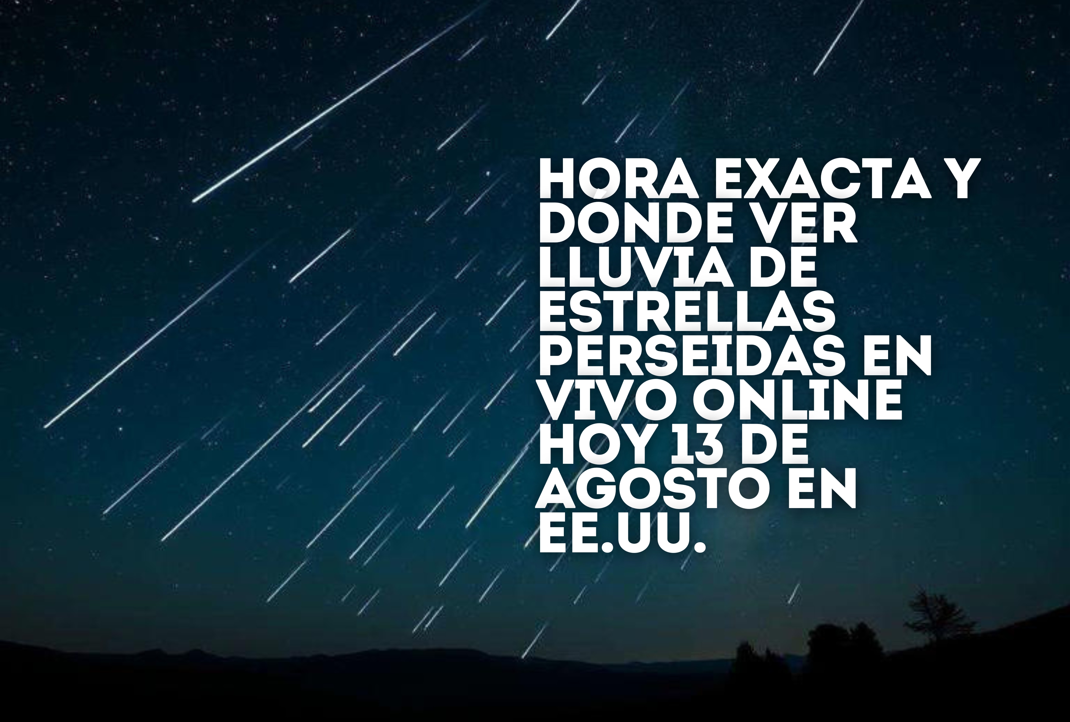 Cielo nocturno iluminado por la Lluvia de Estrellas Perseidas 2025, visible en su punto máximo hoy 13 de agosto desde distintas ciudades de Estados Unidos. Un espectáculo astronómico imperdible. | Crédito: msn.com