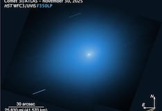 A Harvard Astrophysicist Compares Comet 3I/ATLAS to a Spacecraft Sent by Aliens and Uses Elon Musk as an Example