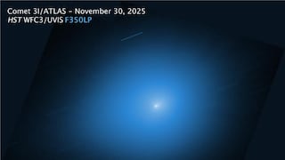 A Harvard Astrophysicist Compares Comet 3I/ATLAS to a Spacecraft Sent by Aliens and Uses Elon Musk as an Example