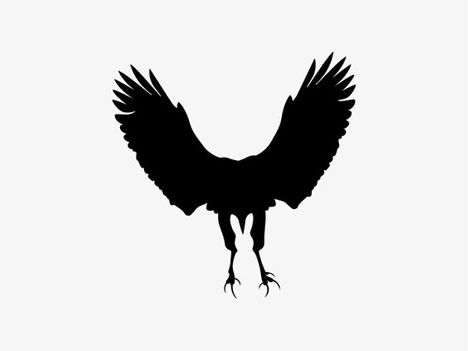 TEST VISUAL | Esta ilusión óptica alucinante revela cómo eres realmente en una relación. Todo dependerá de lo que hayas captado primero. | TikTok/mia_yilin