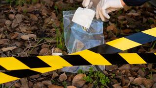 Cuál es el estado mexicano donde asesinan a una persona cada 5 horas